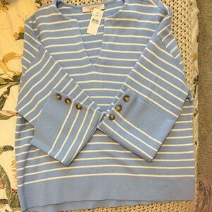 LOFT Women's Light Blue and White Striped V-Neck Sweater